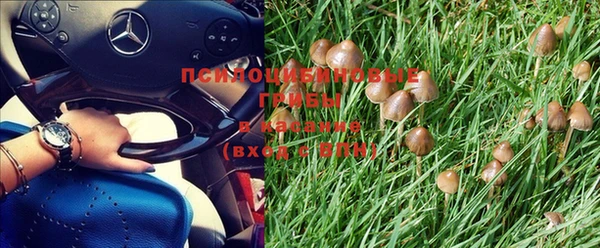 амф Слюдянка