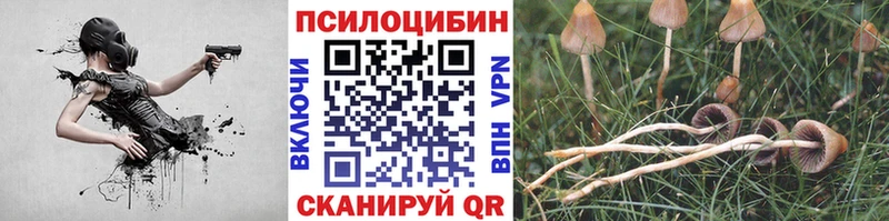 Псилоцибиновые грибы Psilocybine cubensis  Купить закладки  Воронеж 